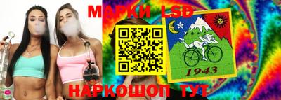 Альфа ПВП Вязники