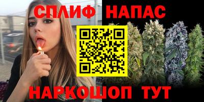 прущая мука Вязьма
