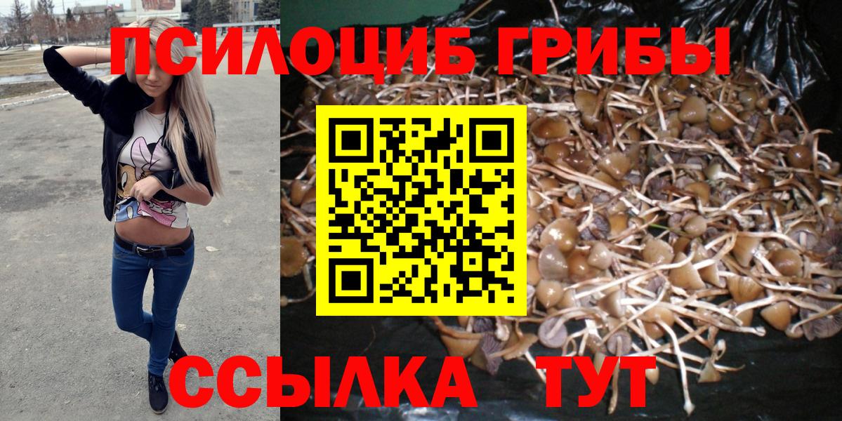 Псилоцибиновые грибы мицелий  Вход с VPN  Чапаевск 