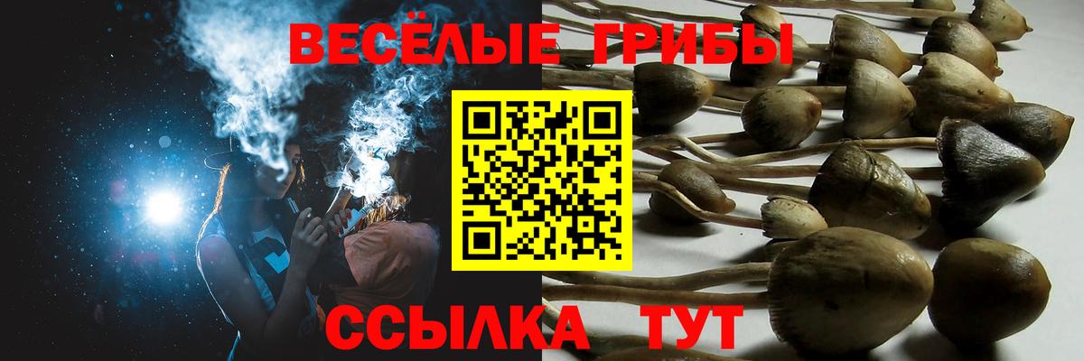 Псилоцибиновые грибы Cubensis Чапаевск